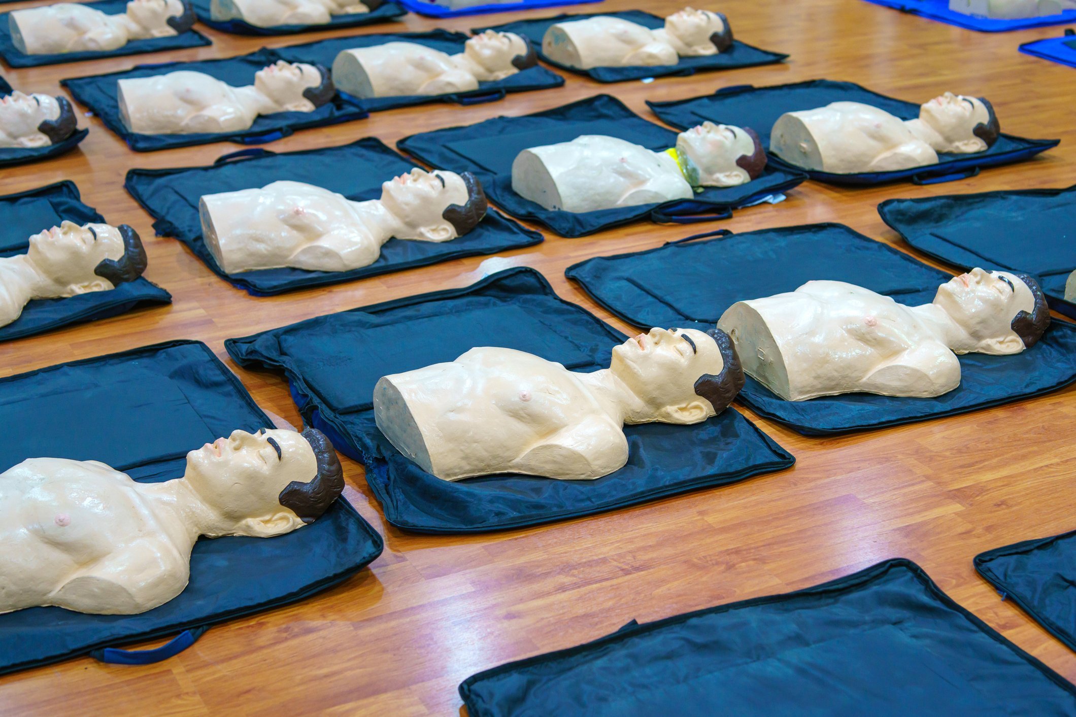 Gender Medizin Gleichberechtigung von Frau und Mann Mehrere CPR-Dummy-Modelle liegen auf blauen Matten nebeneinander auf dem Boden.