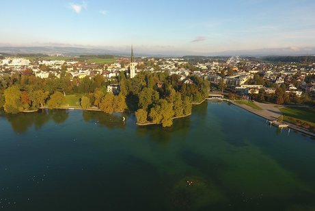 Blick auf Zug und den See