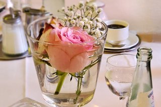 Rose in Vase, Wasser, Glas und Kaffeetasse
