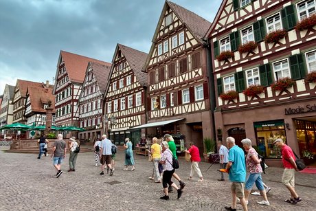 Calw