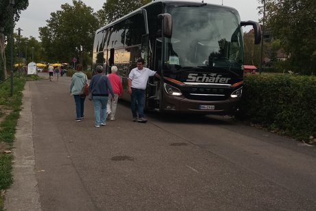 Bus