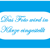 Bild wird eingestellt