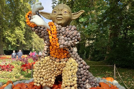 Clown aus K&uuml;rbisse