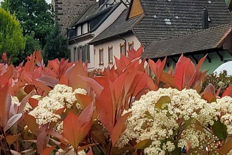 Impressionen