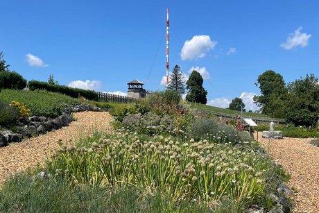 Aussichtsturm Aussicht