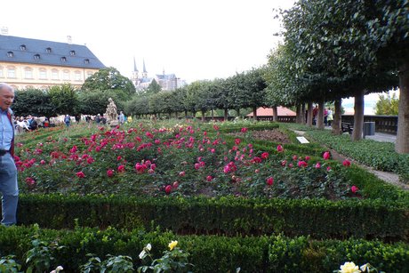 Rosengarten im Schlosspark in Bamberg