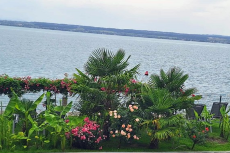 Bodensee Mersburg