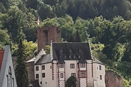 Blick auf die Burg
