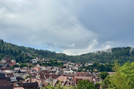 Calw