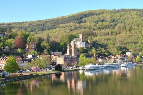 Blick vom Main auf Miltenberg. Ausflugschiffe, Kirche und Burg im Hintergund
