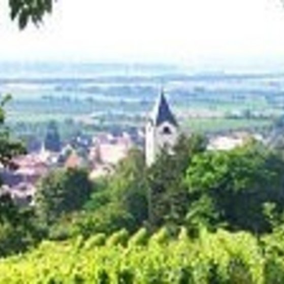 VdK Ortsverband Hirschberg-Leutershausen