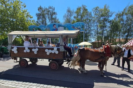 Pferde mit Wagen