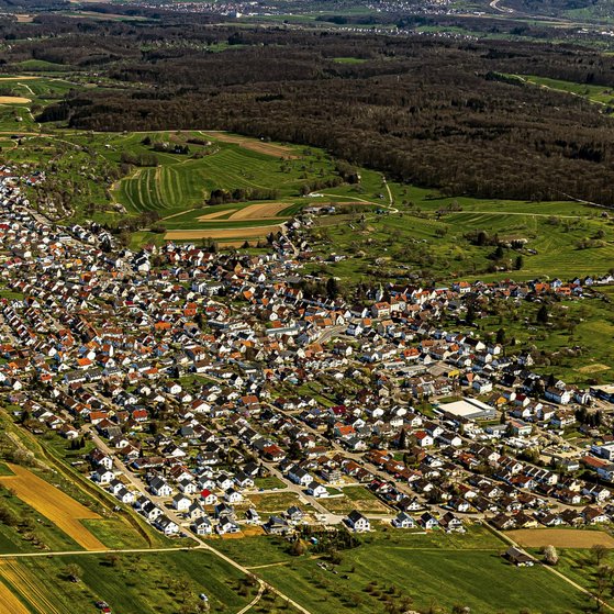 Luftbild von Notzingen mit dicht bebautem Ortskern aus kleinen H&auml;usern, umgeben von gelben Feldern, Wiesen und Wald.