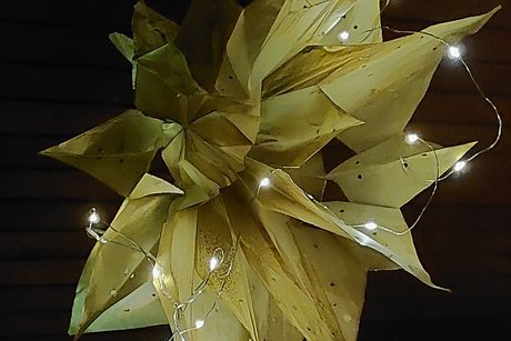 Weihnachtsstern
