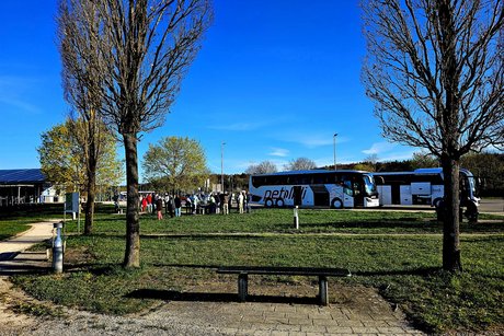 Eine gro&szlig;e Wiese mit hohen B&auml;umen ums&auml;umt, im Hintergrund 2 Reisebusse und die versammelte Mannschaft drum herum.