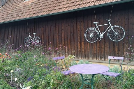 Bilder vom Tag
