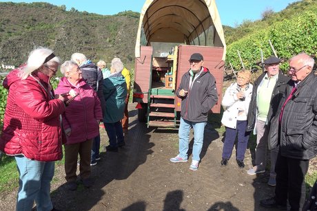 Am Planwagen Am Planwagen in den Weinbergen