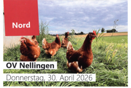 Besuch des Legehennenstalls Fam. M&uuml;nz