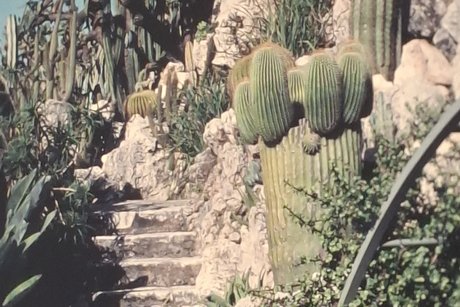 Botanic Center Monaco