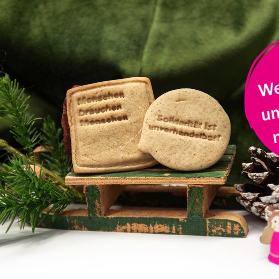 VdK-Weihnachtsmotiv 2025 - Titelseite Nahaufnahme eines kleinen Schlittens, auf dem zwei Plätzchen stehen. Auf diesen steht geschrieben: "Menschen brauchen Menschen" und "Solidarität ist unverhandelbar!". Neben dem Schlitten ist es weihnachtlich dekoriert, mit einer grünen samtigen Decke, einem Tannenzweig sowie Tannenzapfen.