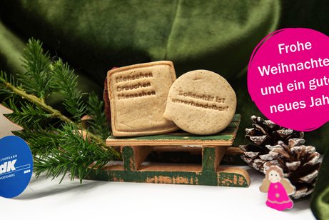 Nahaufnahme eines kleinen Schlittens, auf dem zwei Pl&auml;tzchen stehen. Auf diesen steht geschrieben: "Menschen brauchen Menschen" und "Solidarit&auml;t ist unverhandelbar!". Neben dem Schlitten ist es weihnachtlich dekoriert, mit einer gr&uuml;nen samtigen Decke, einem Tannenzweig sowie Tannenzapfen.