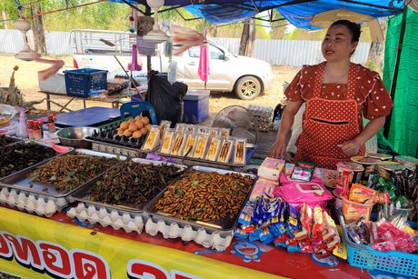 Kambodscha - Raupensnack