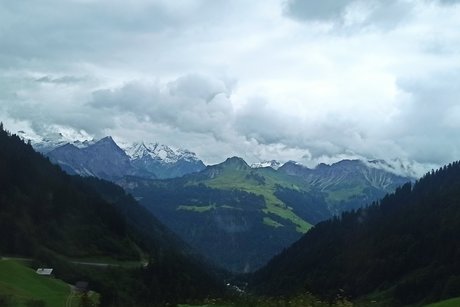 schöner Blick