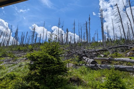 Sommerreise 2026 - Tag 5: Brocken Sommerreise 2026 - Tag 5: Brocken