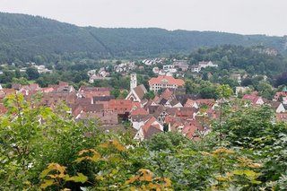 Panoramasicht auf eine Kleinstadt, die von Wald umgeben ist.