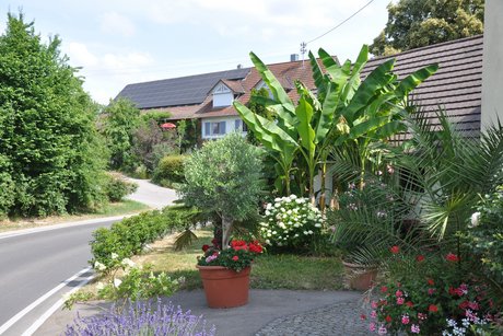 Beeren und Obsthof Pfleghaar
