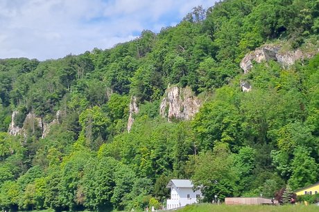 Bild zeigt eine bewaldete Felswand