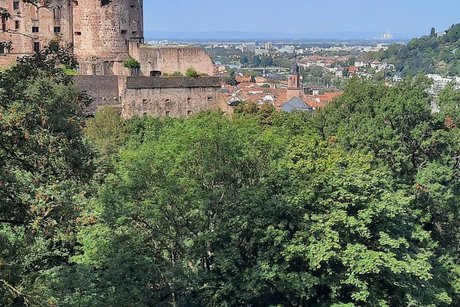 Heidelberg