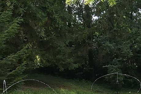 Kloster Sießen Weiher