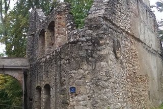 Ruine Hornstein in Bingen