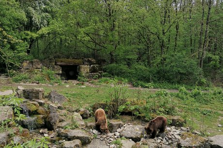 Wildtierpark in Bad Mergentheim