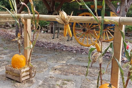 Impressionen vom 17.09.2025