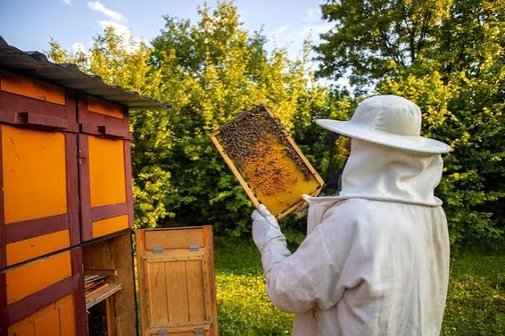Imker und Bienenstock