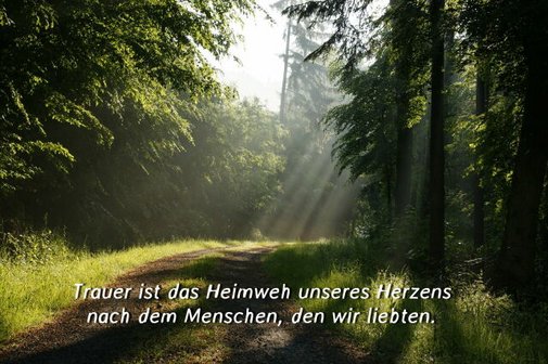 In stillem Gedenken an unsere verstorbenen Mitglieder ab 2016