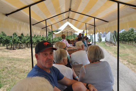 Beeren und Obsthof Pfleghaar