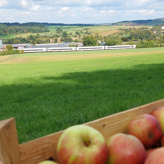 Herbst 2025 unter der Kapfenburg