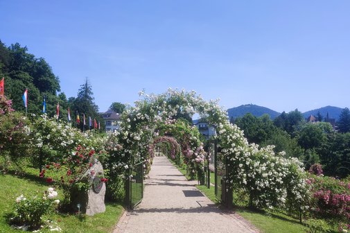 Rosenneuheitengarten Beutig in Baden-Baden