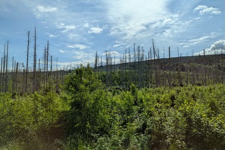 Sommerreise 2026 - Tag 5: Brocken Sommerreise 2026 - Tag 5: Brocken