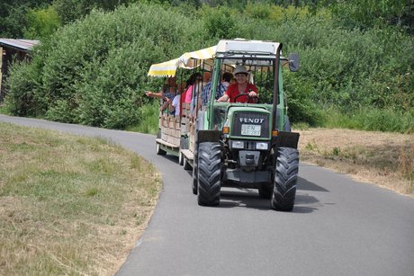 Beeren und Obsthof Pfleghaar