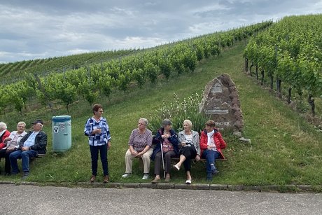 Eine Pause in den Weinbergen