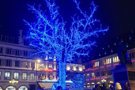 Auf dem Weihnachtsmarkt in Straßburg Blau beleucheter BaumBlau beleucheter Baum