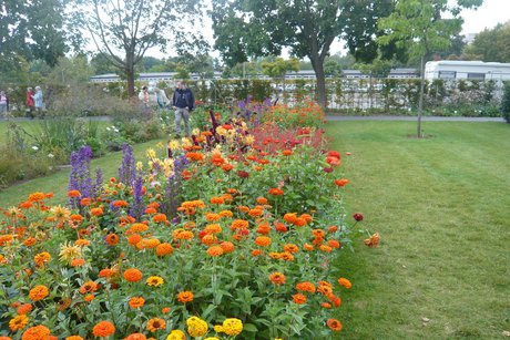 Der Rungang zur BUGA beginnt