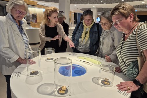Viel Gold, Goldm&uuml;nzen, Edelsteine, Schmuckst&uuml;cke, Perlen und Mineralien gab in den Schmuckwelten zu bestaunen