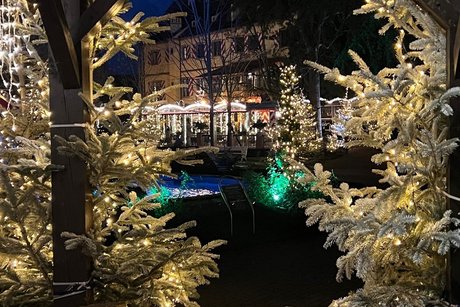 Wei&szlig;e Tannenb&auml;ume