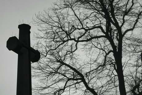 Gedenkkreuz und Baum auf Friedhof