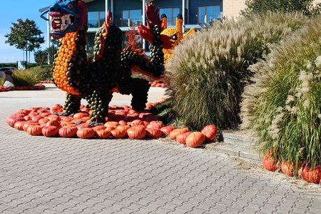 Statue eines Drachen aus Kürbissen